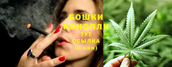 ГАЛЛЮЦИНОГЕННЫЕ ГРИБЫ Кукмор