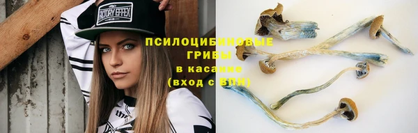 соль курить ск Кулебаки