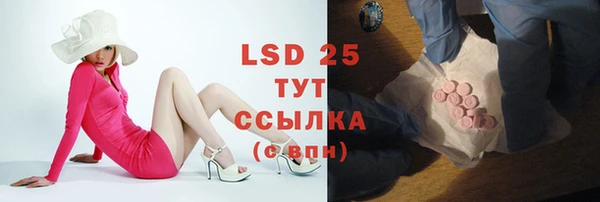 ГАЛЛЮЦИНОГЕННЫЕ ГРИБЫ Кукмор