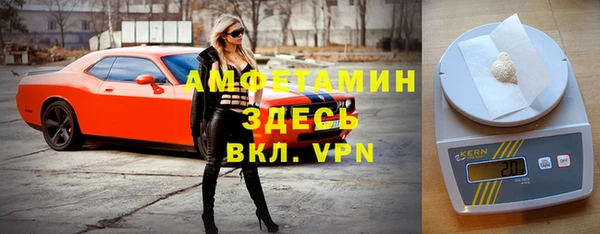 ГАЛЛЮЦИНОГЕННЫЕ ГРИБЫ Кукмор